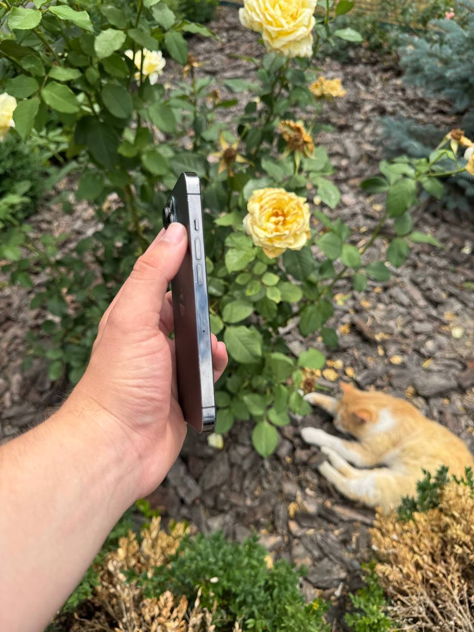 iPhone 13 Pro 128GB Silver фото 2