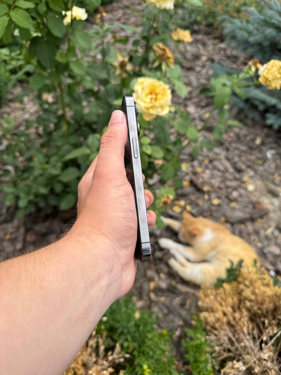 iPhone 13 Pro 128GB Silver фото 3