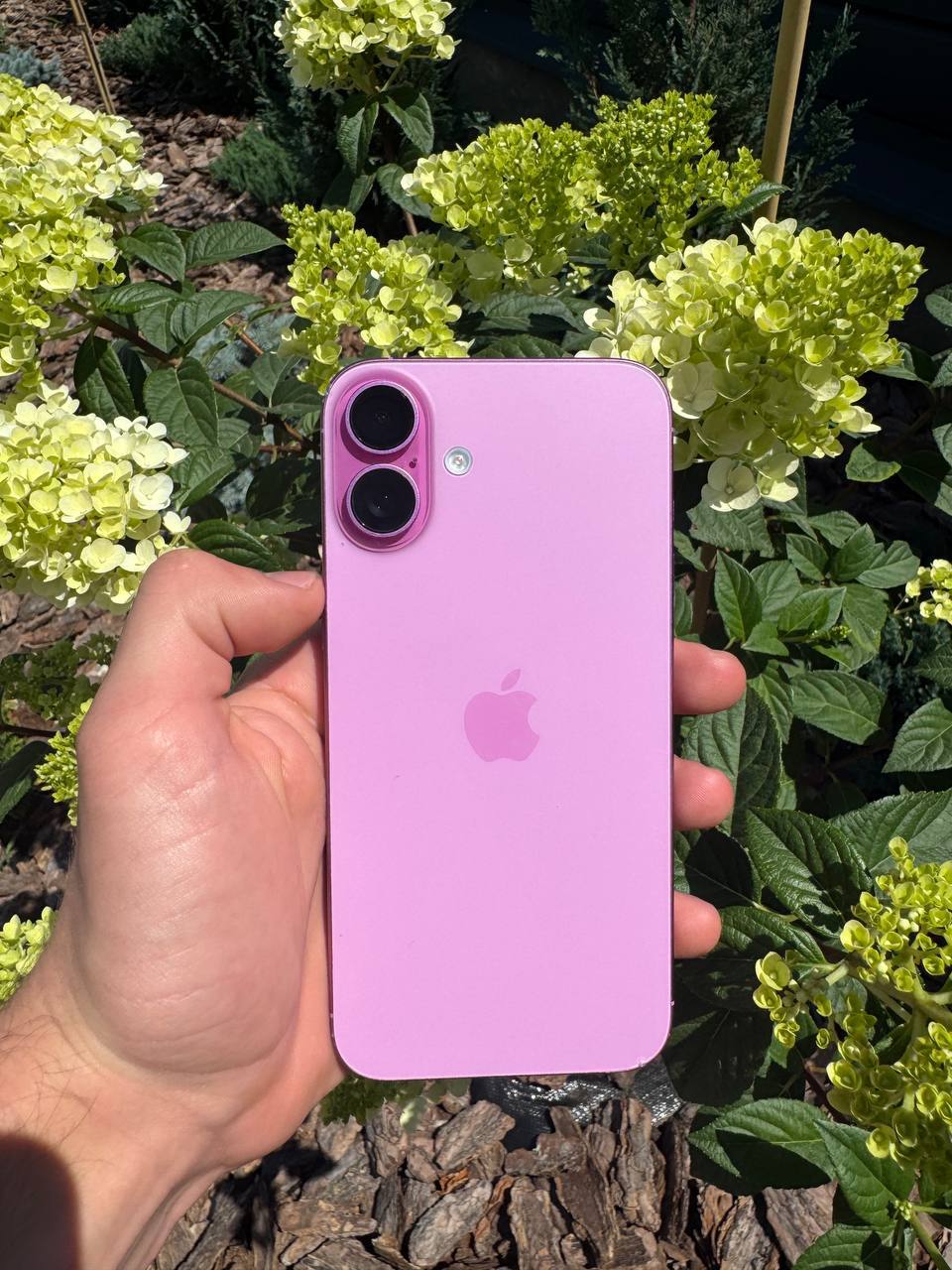 iPhone 16 Plus 128GB Pink