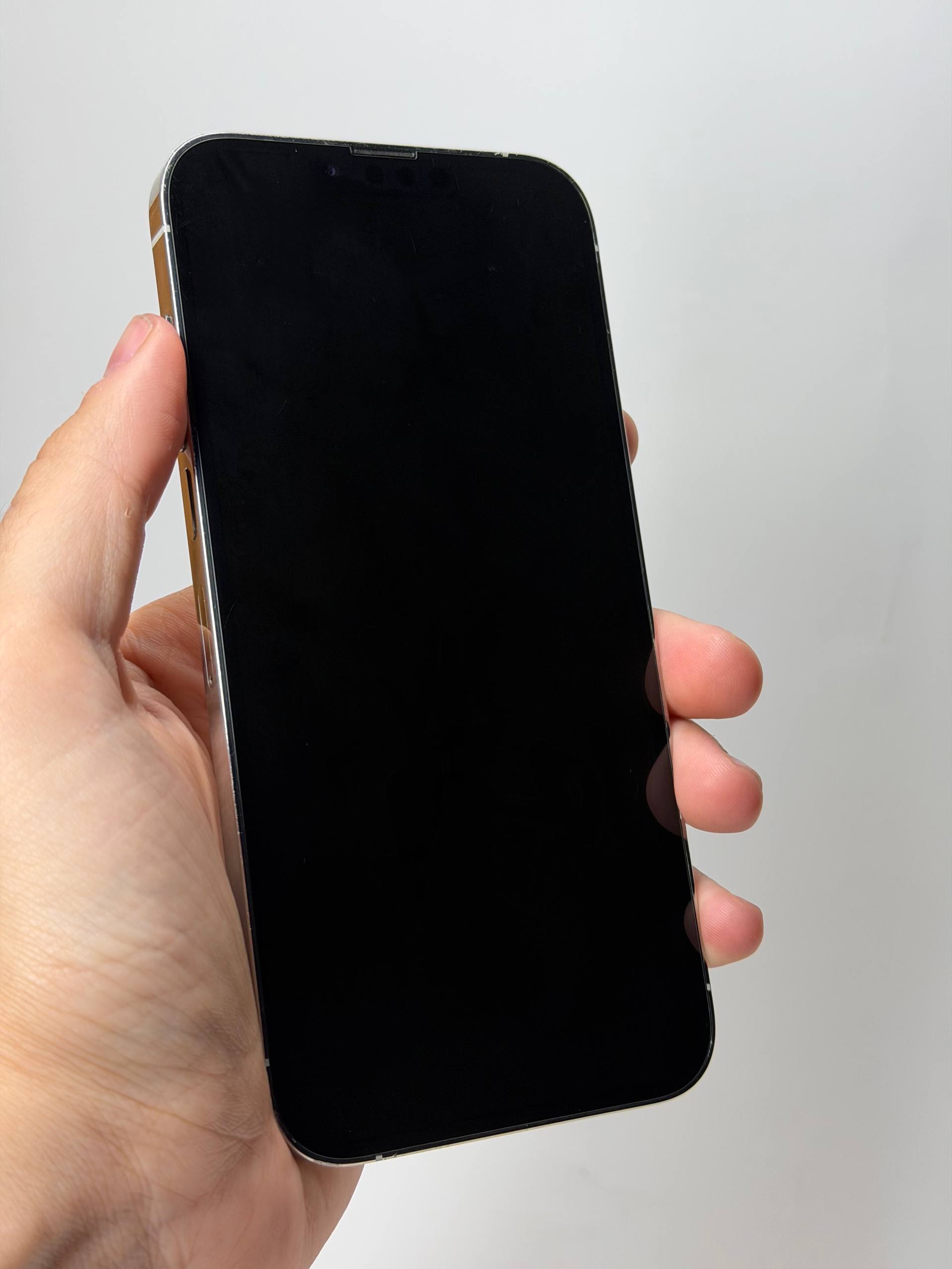 iPhone 13 Pro Max 512GB Silver фото 2