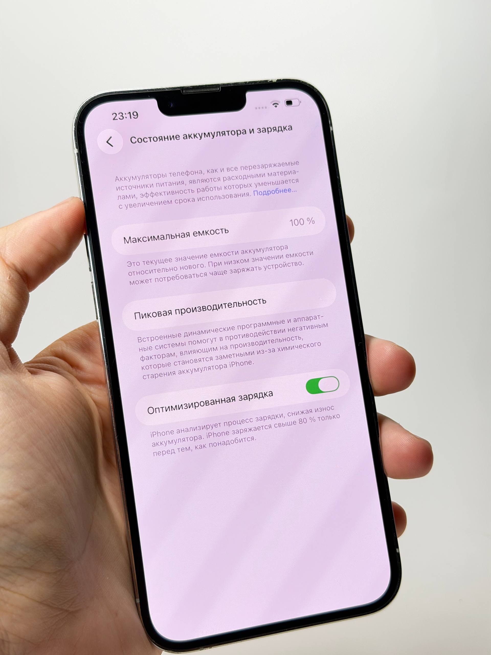 iPhone 13 Pro Max 512GB Silver фото 8
