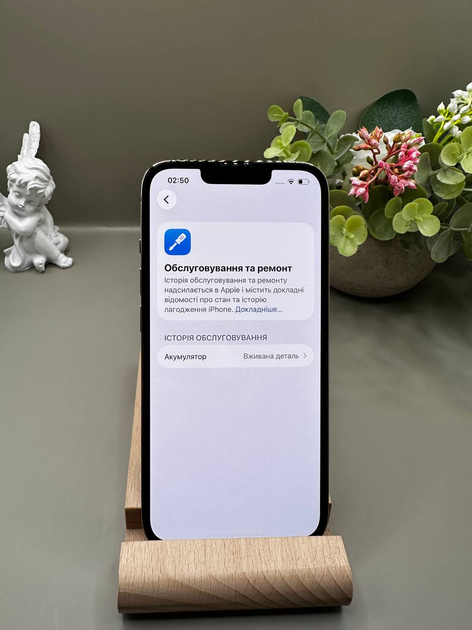 iPhone 13 Pro 128GB Silver фото 3
